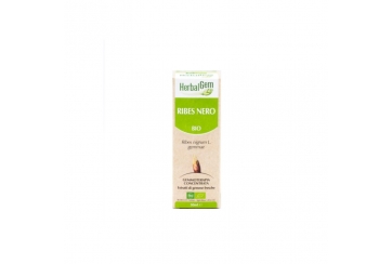 Herbalgem Ribes Nigrum Bio gemmoderivato concentrato 50ml